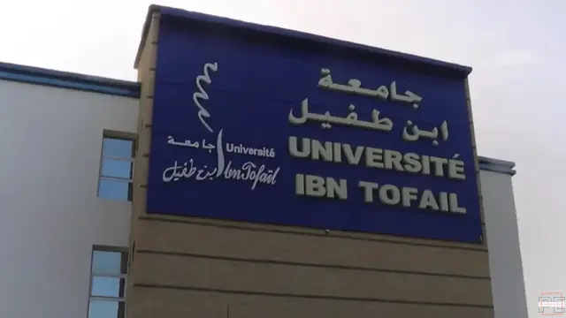   Voici la date de l'audience décisive concernant les droits des professeurs de l'université Ibn Tofail  