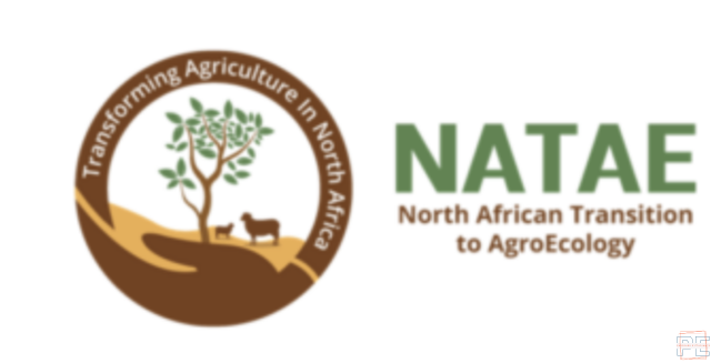  | Appel à candidatures pour l'École Chercheur NATAE 2025