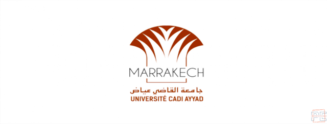  | chefs de Service Vacants à la Faculté Polydisciplinaire de Safi