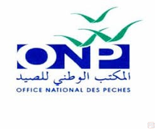  | Chef Division Exploitation de Casablanca