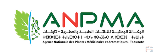 | Chargé (e) de recherche Grade A