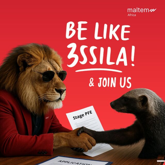 Stages PFE : Maltem Africa