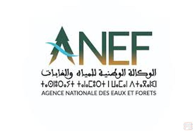  | Directeur Provincial