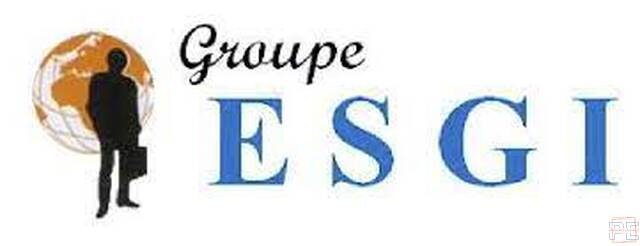 ESGI | Ecole des Sciences de gestion et d informatique  