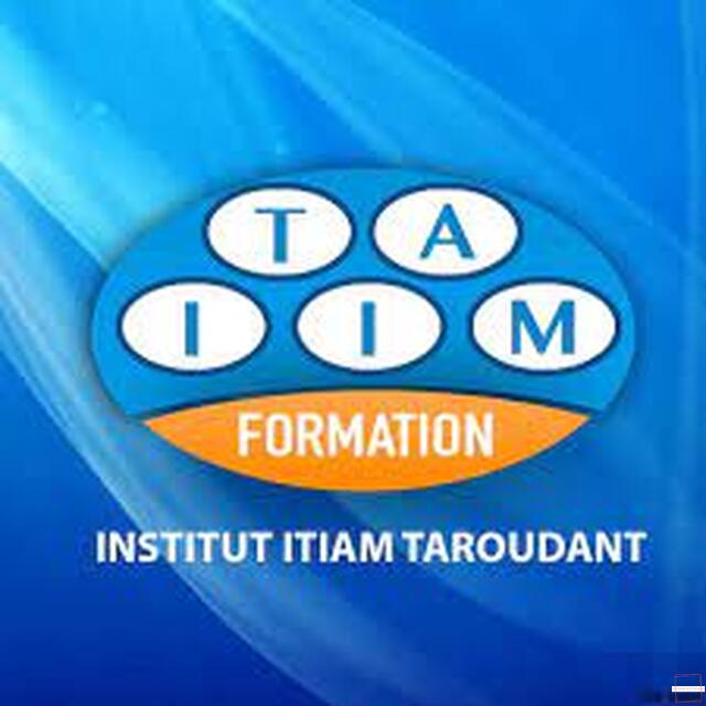 ITIAM | Institut Technique d’Informatique Appliquée au Management  