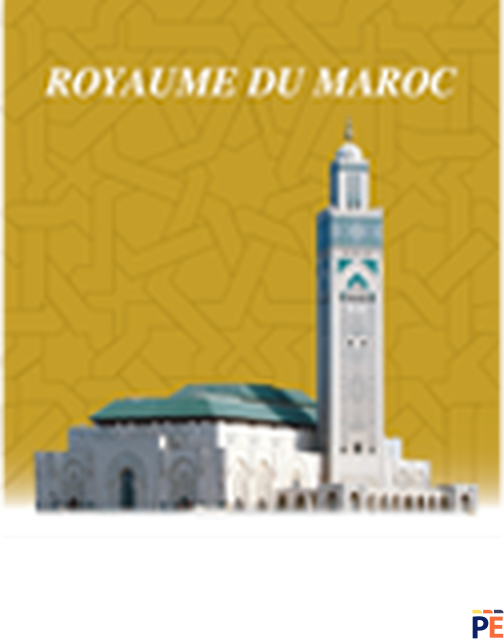 AAT | ACADEMIE DES ARTS TRADITIONNELS DE LA MOSQUEE HASSAN II  