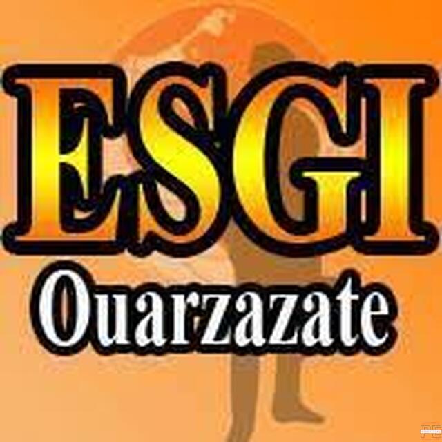 ESGI | Ecole des Sciences de Gestion et d Informatique  